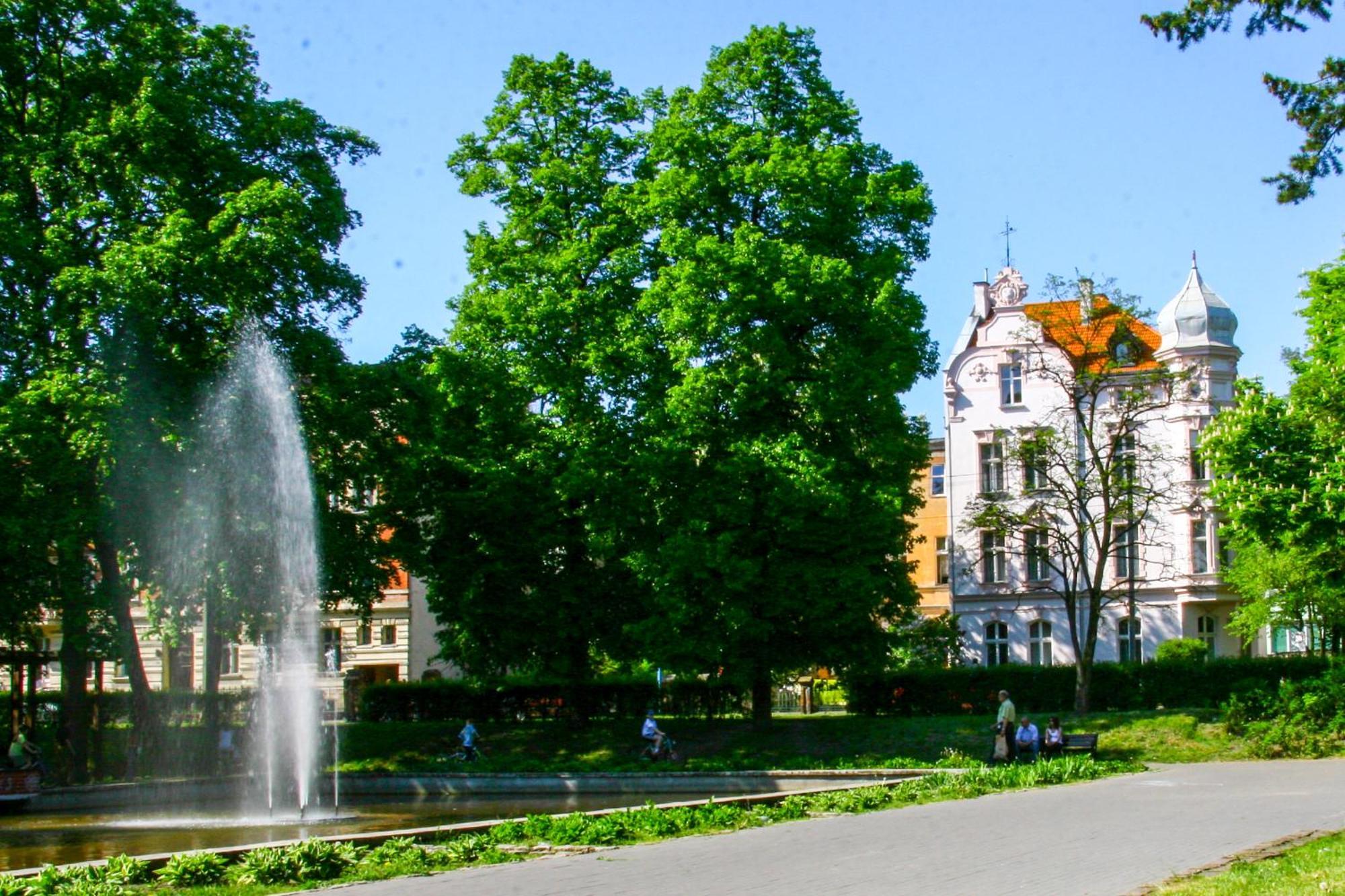 Place Apartament Stary Toruń